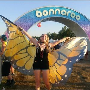 Monarch Butterly Wings with dancing poles